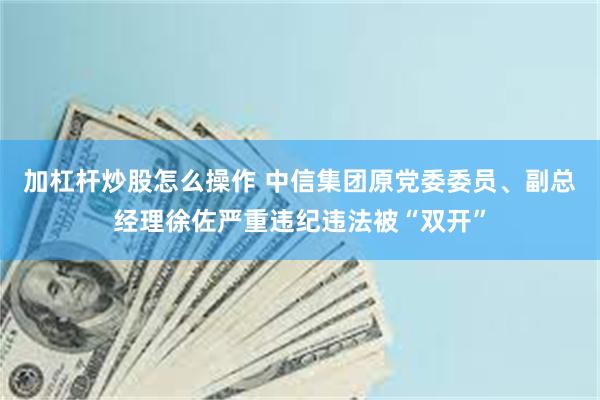 加杠杆炒股怎么操作 中信集团原党委委员、副总经理徐佐严重违纪违法被“双开”