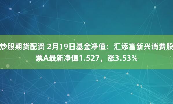 炒股期货配资 2月19日基金净值：汇添富新兴消费股票A最新净值1.527，涨3.53%